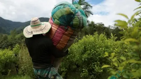 US Labels the South American Nation as Failing to Cooperate in Narcotics Battle