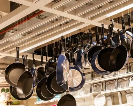 PTFE Nutrition, Garlic Milk and Zebra Cows Shine at 2025 Ig Nobel Prizes